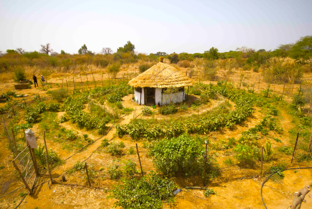 Investissement Fractionné au Sénégal
