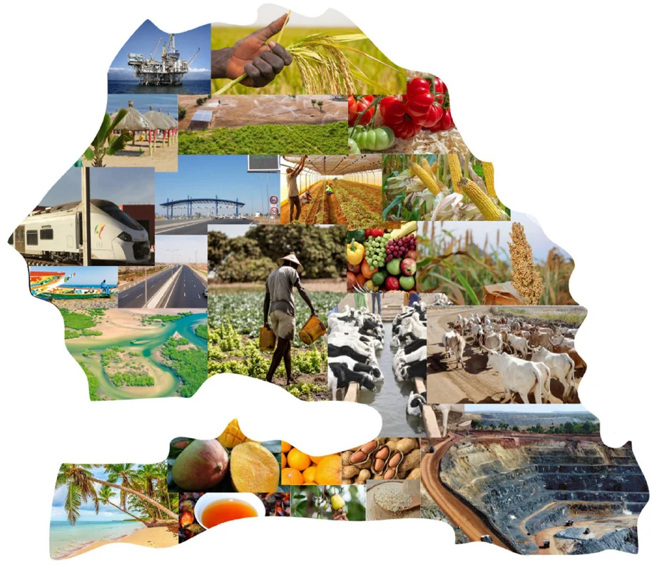 investissement rentable senegal